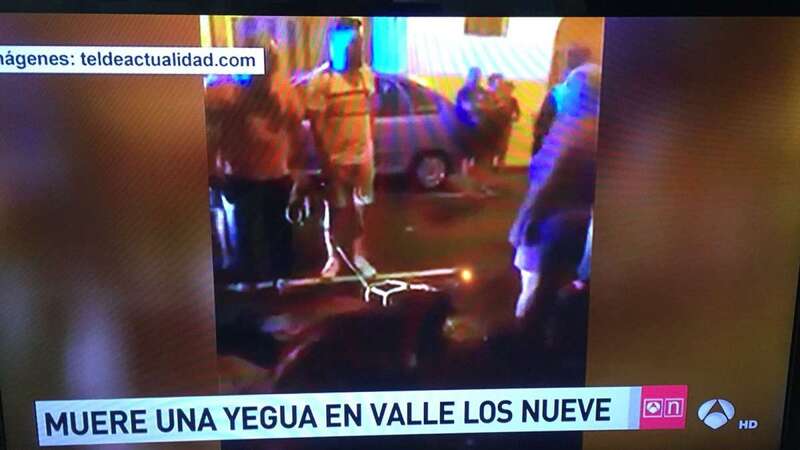 El diario Canarias7 o Antena3 Canarias se han hecho eco de la noticia (Foto TA)